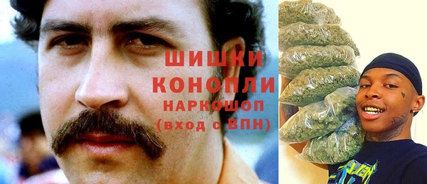 амф Арсеньев