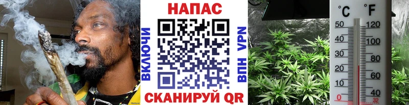 МАРИХУАНА MAZAR  закладки  Лыткарино 